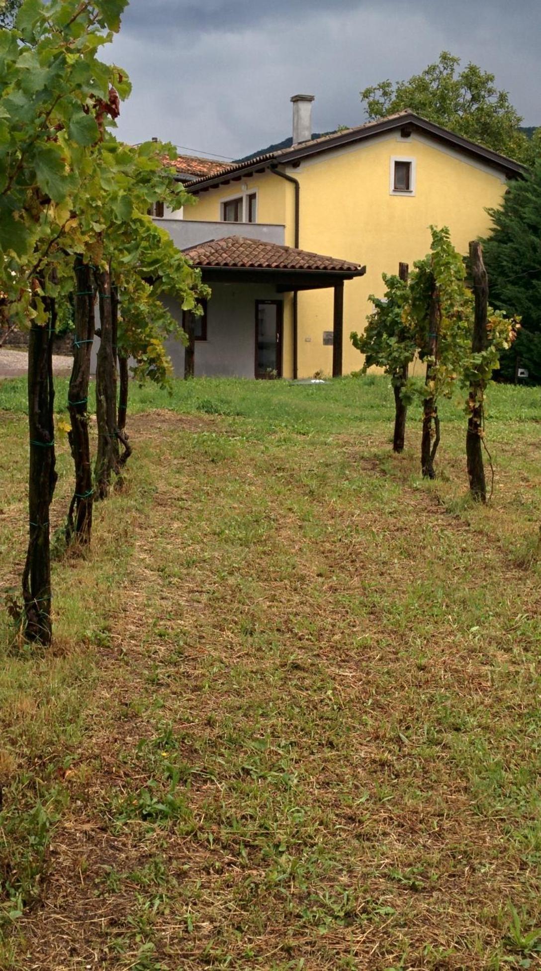Small House In Vipava Valley Buitenkant foto